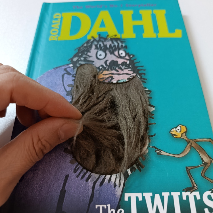 Roald Dahl the twits