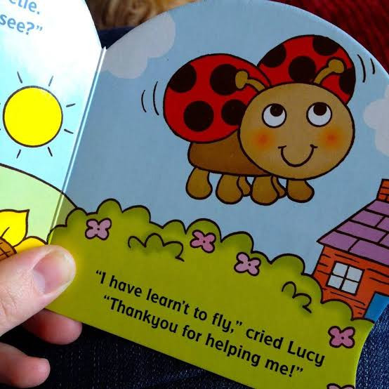 Lucy the ladybird 🐞