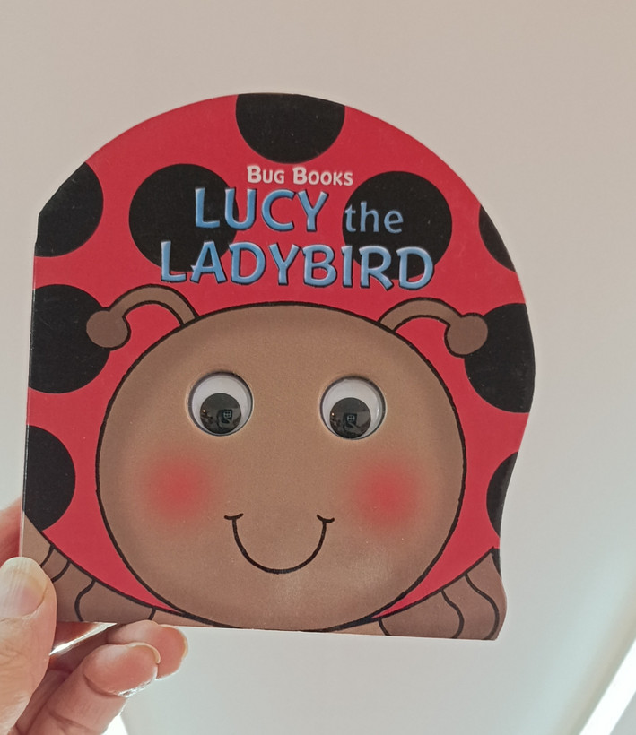 Lucy the ladybird 🐞
