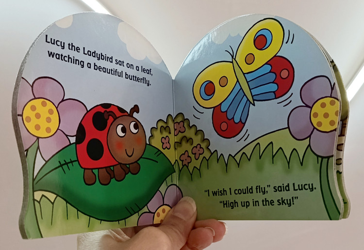 Lucy the ladybird 🐞